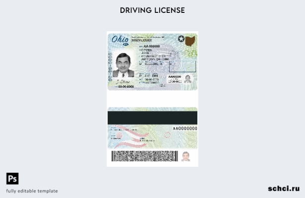 цифровая загрузка шаблона DL США, Огайо